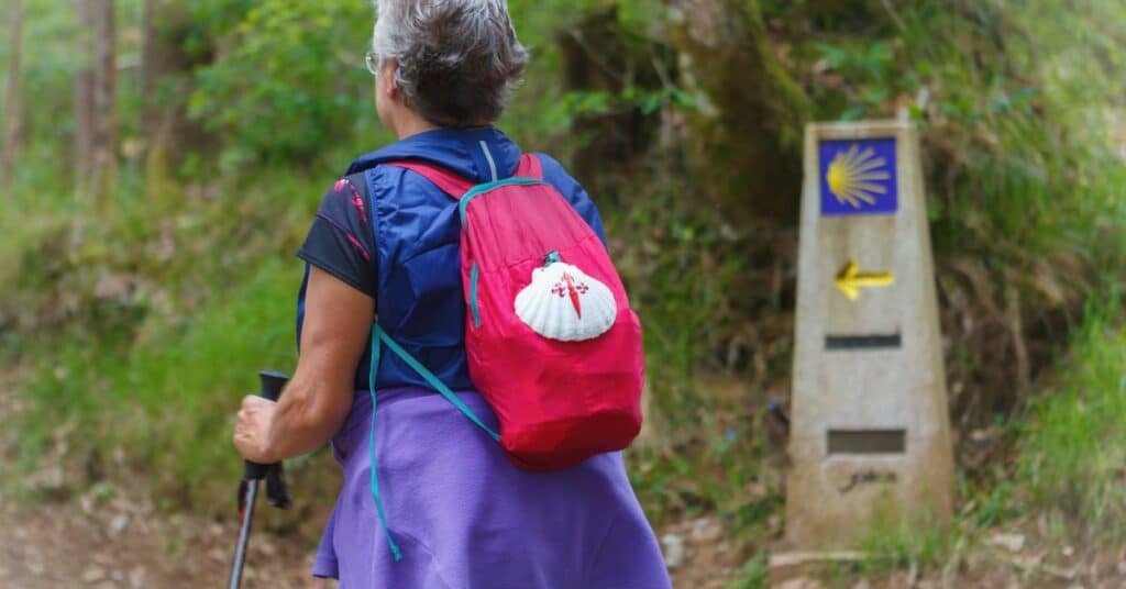 O Caminho Francês para Santiago de Compostela